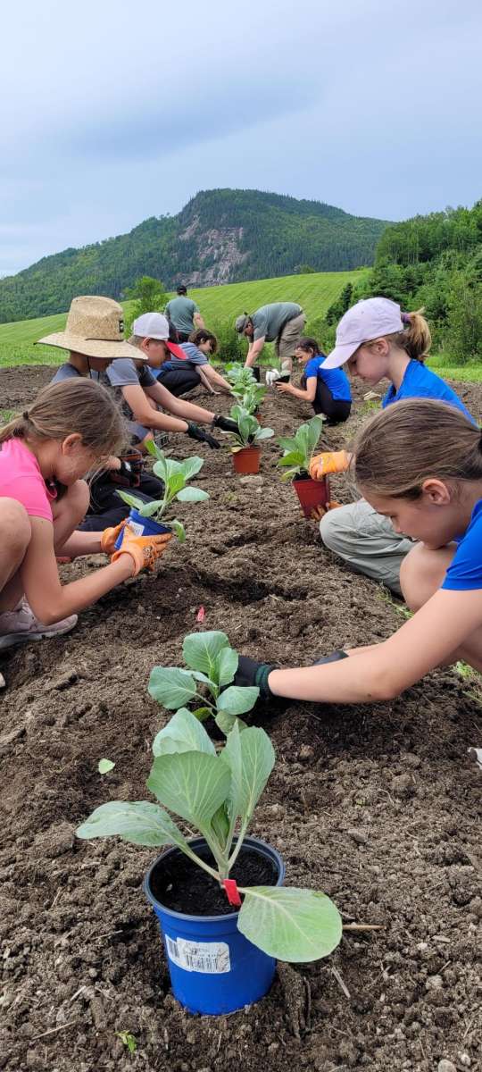 des jeunes travaillent aux champs