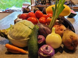 Échantillon de légumes fraichement cueillis à La Ferme d'en Haut à L'Anse-Saint-Jean.