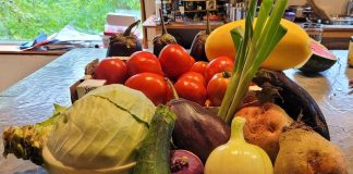 Échantillon de légumes fraichement cueillis à La Ferme d'en Haut à L'Anse-Saint-Jean.