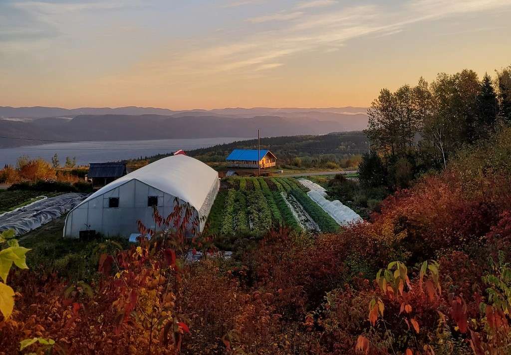 Vue sur le fjord du Saguenay de la ferme des Paysans du Fjord