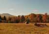 paysage d'automne