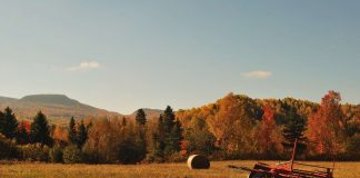 paysage d'automne
