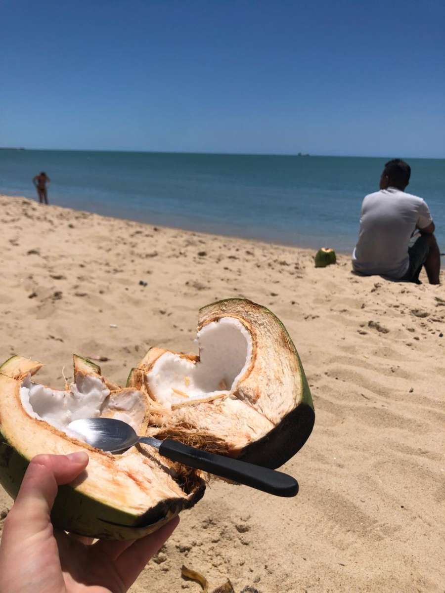 de la noix de coco fraiche à déguster sur les plages brésiliennes