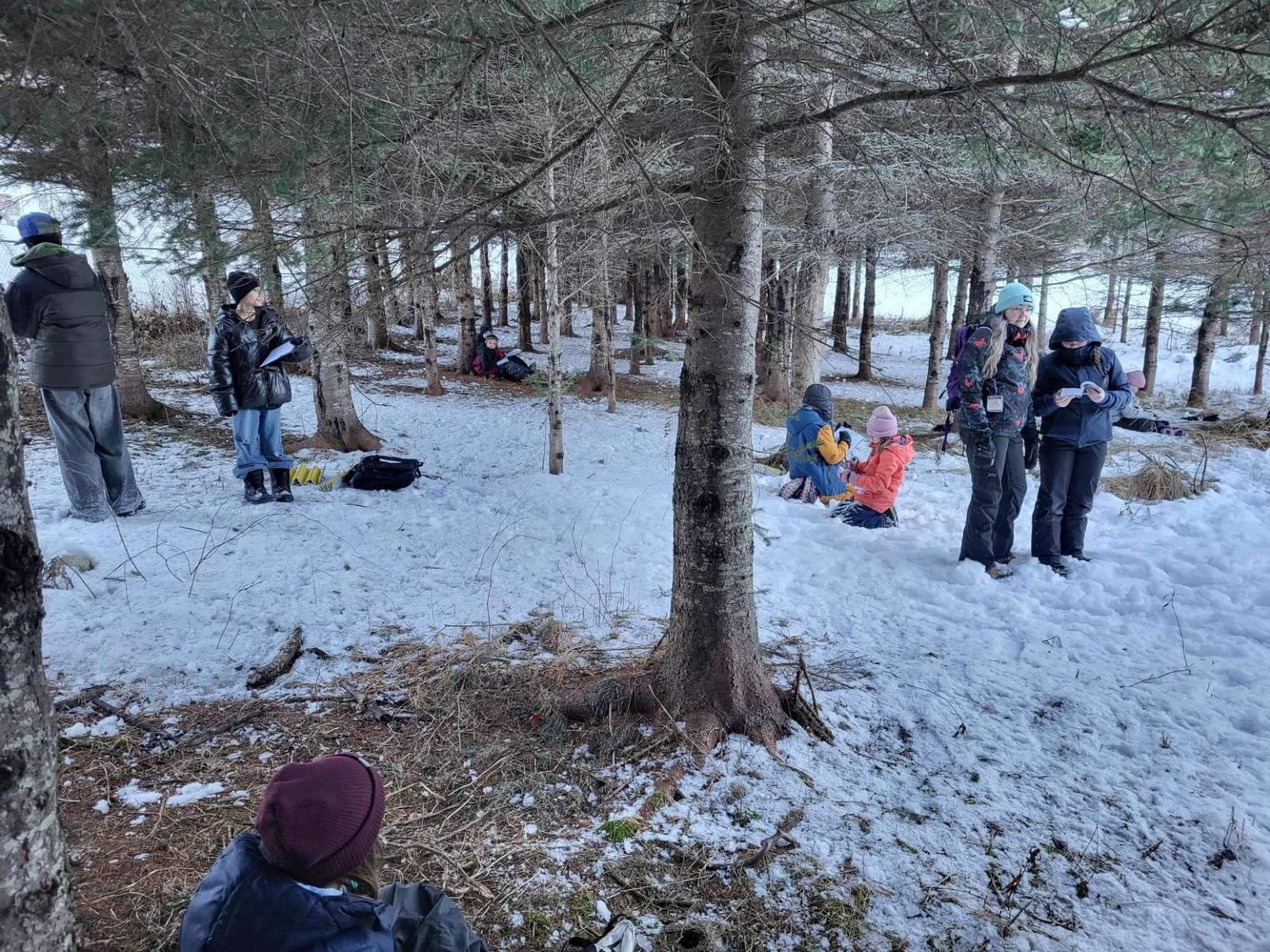Des jeunes jouent dans la forêt