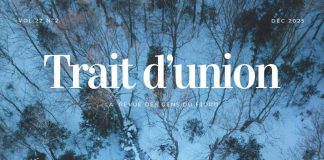 Une photo de drone au-dessus de skieurs dans une forêt.