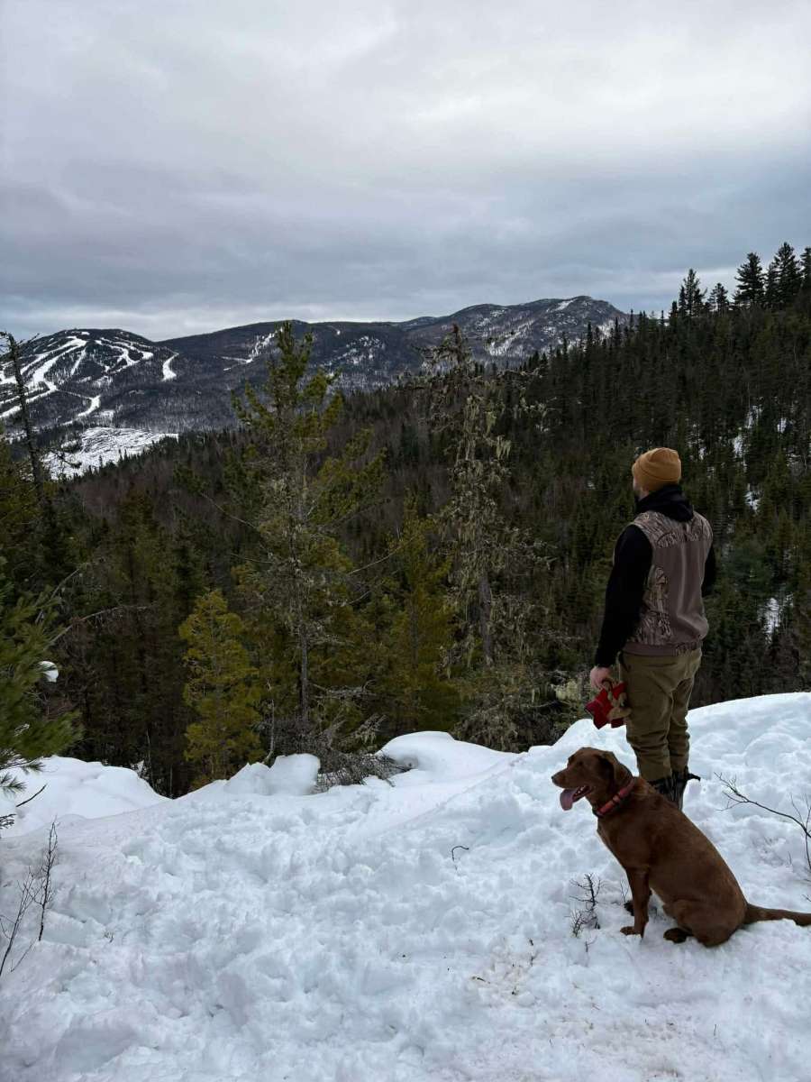 Un homme de dos avec son chien regarde le paysage au loin