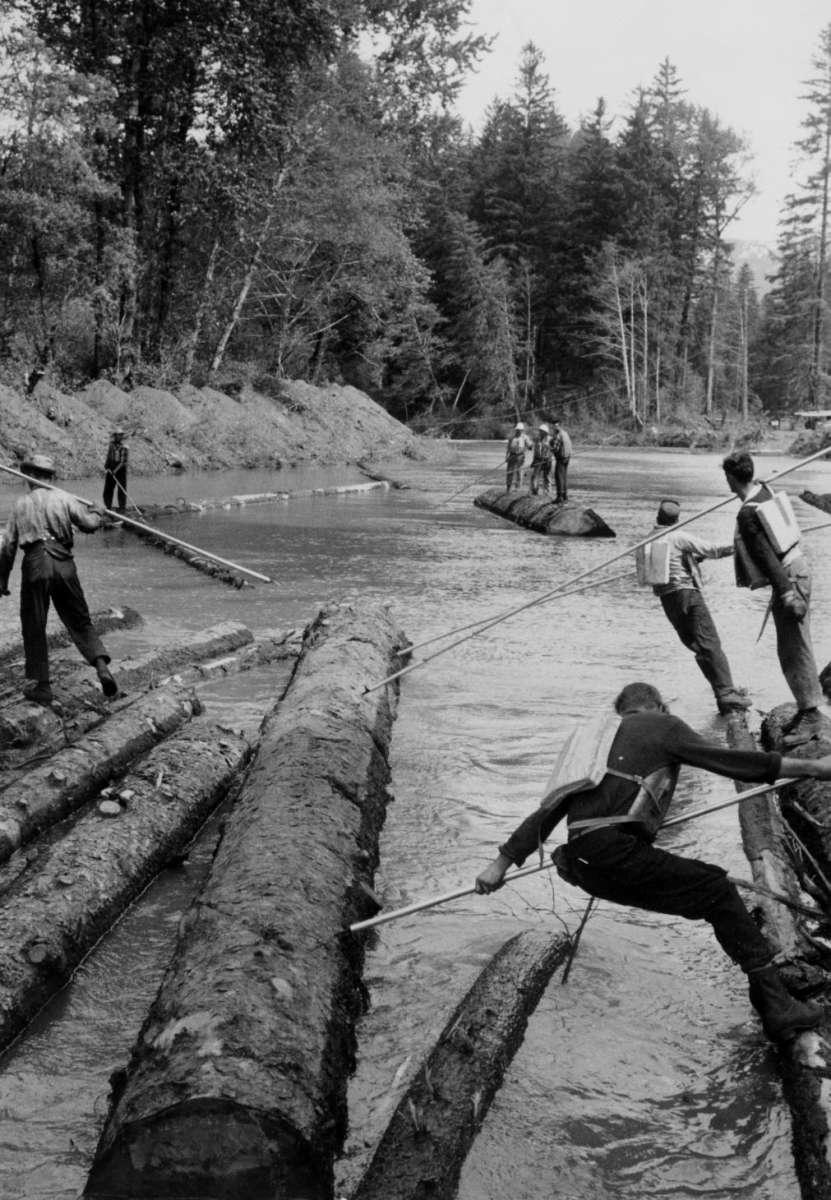 Des draveurs transportent le bois vers le fjord